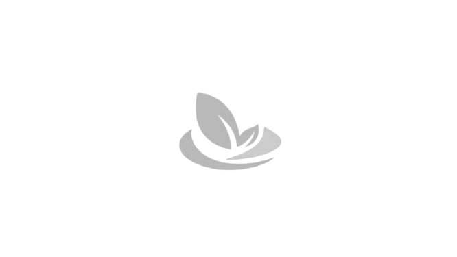 Business Logo 4